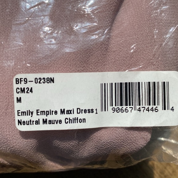 Show Me Your Mumu Emily Empire Maxi Dress ~ Neutral Mauve Chiffon - Picture 6 of 7